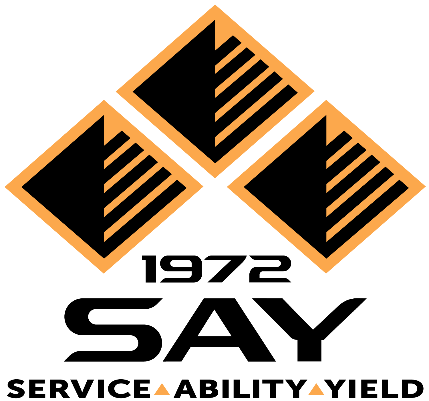 SAY1972.COM